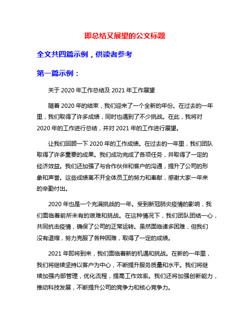 即总结又展望的公文标题