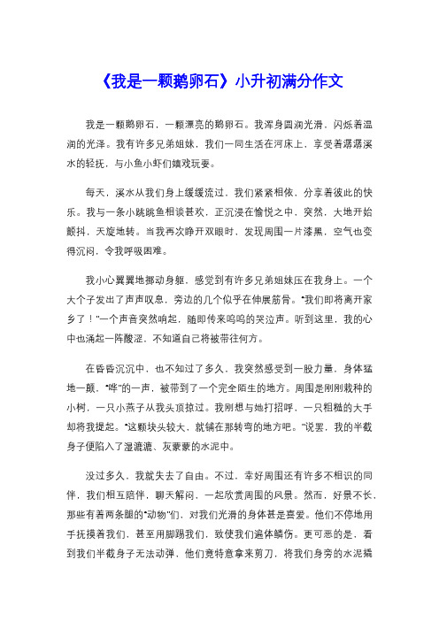 《我是一颗鹅卵石》小升初满分作文