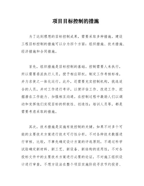 项目目标控制的措施