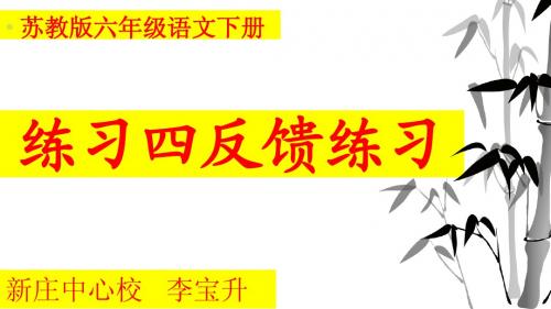 苏教版六年级语文下册练习4反馈练习