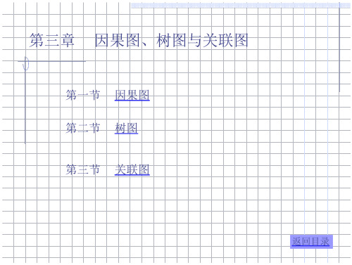 因果图、树图与关联图.PPT、看