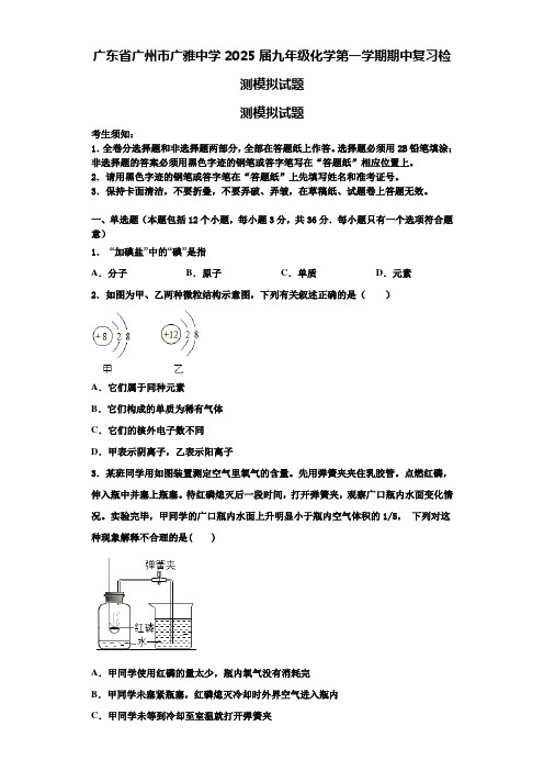 广东省广州市广雅中学2025届九年级化学第一学期期中复习检测模拟试题含解析