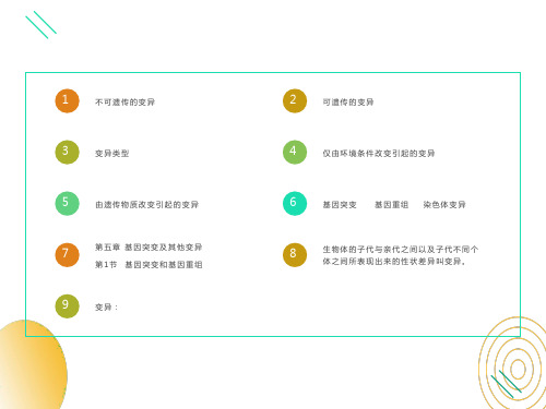 基因突变和基因重组课件