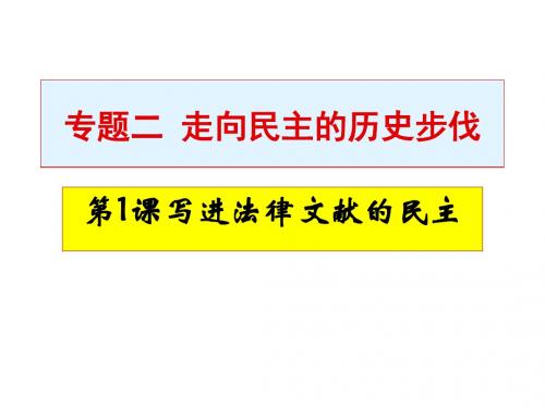 写进法律文献的民主 PPT课件 人民版