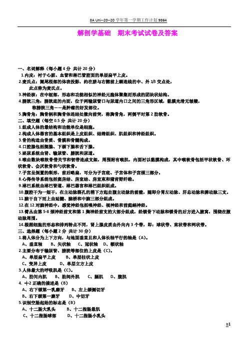 大学 解剖学基础  期末考试试卷及答案