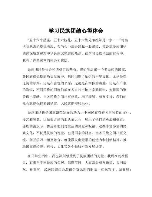 学习民族团结心得体会