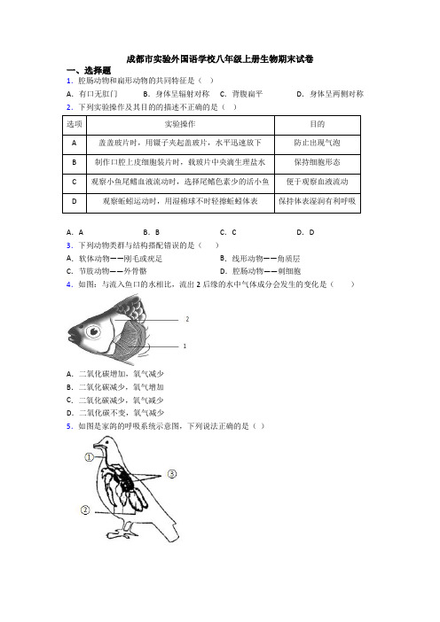 成都市实验外国语学校八年级上册生物期末试卷