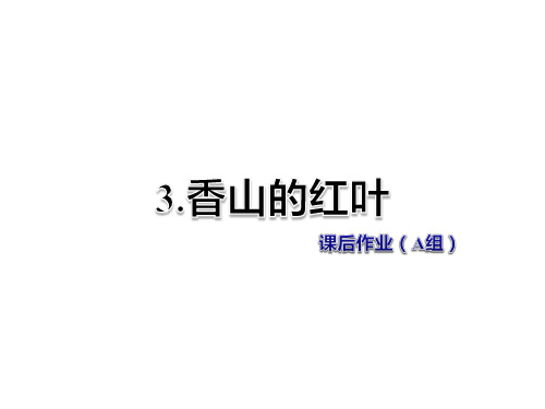 六年级上册语文课件-第3课 香山的红叶 作业(A组)教科版