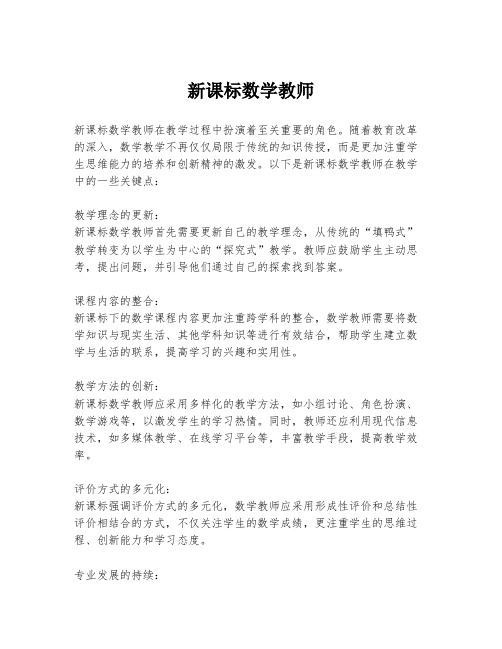 新课标数学教师