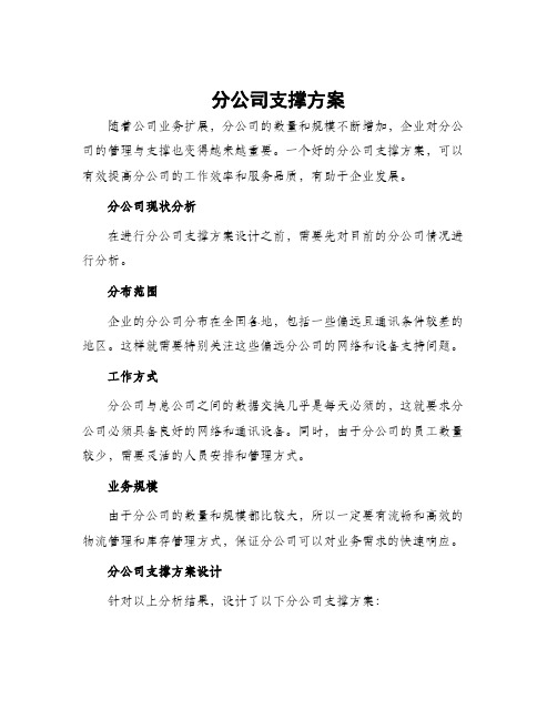 分公司支撑方案