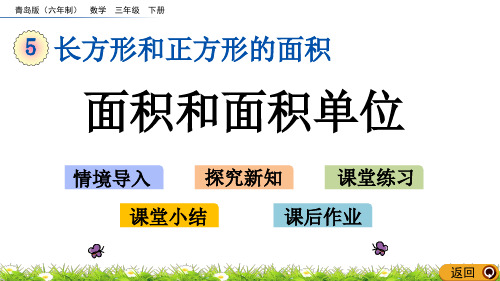 青岛版六三制数学三年级下册5.1 面积和面积单位教学课件PPT