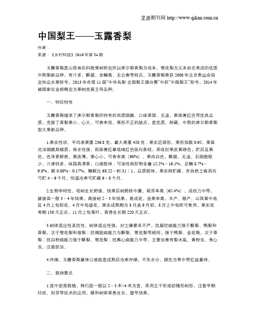 中国梨王——玉露香梨