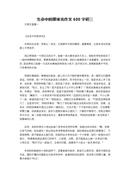 生命中的那束光作文600字初三