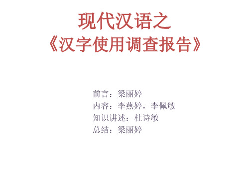 现代汉语之汉字使用调查报告 共20页