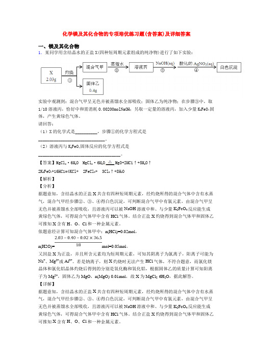 化学镁及其化合物的专项培优练习题(含答案)及详细答案