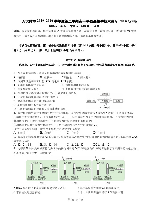 高一试题—北京市2019～2020 学年人大附中高一(下)期末考试生物试卷及参考答案