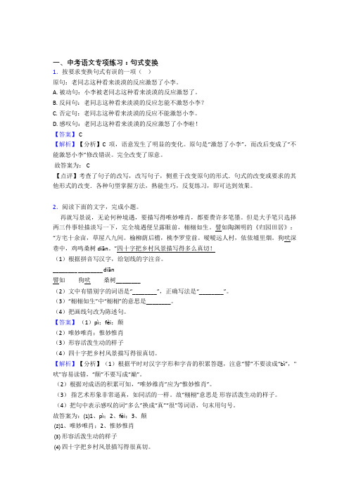 部编中考语文句式变换训练试题及解析