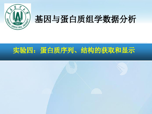 实验四蛋白质序列结构的获取和显示 ppt课件