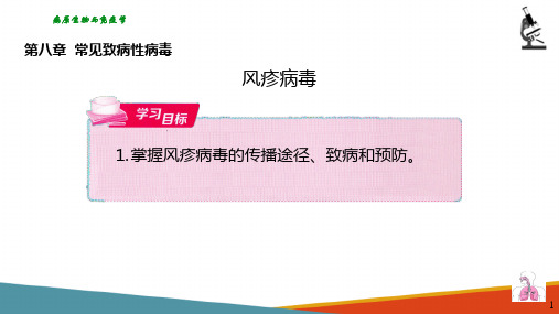 病毒学(常见的致病性病毒)—呼吸道感染病毒