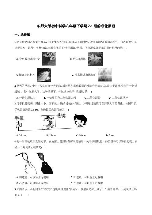 华东师大版科学八年级下册2.4眼的成像原理