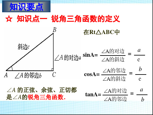 解直角三角形习题训练