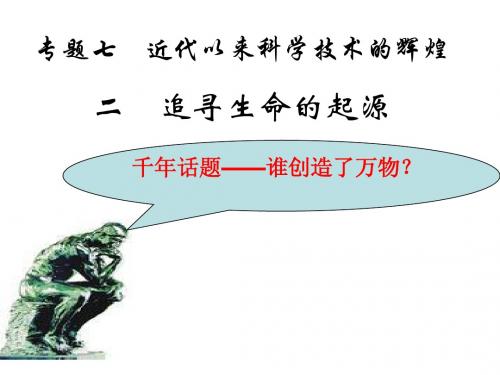 历史:《追寻生命的起源》课件3(人民版必修三)谷