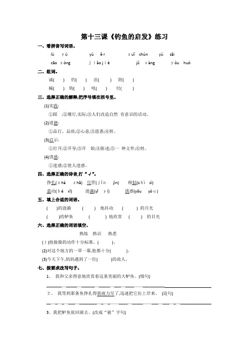 五年级上册语文同步练习  钓鱼的启示