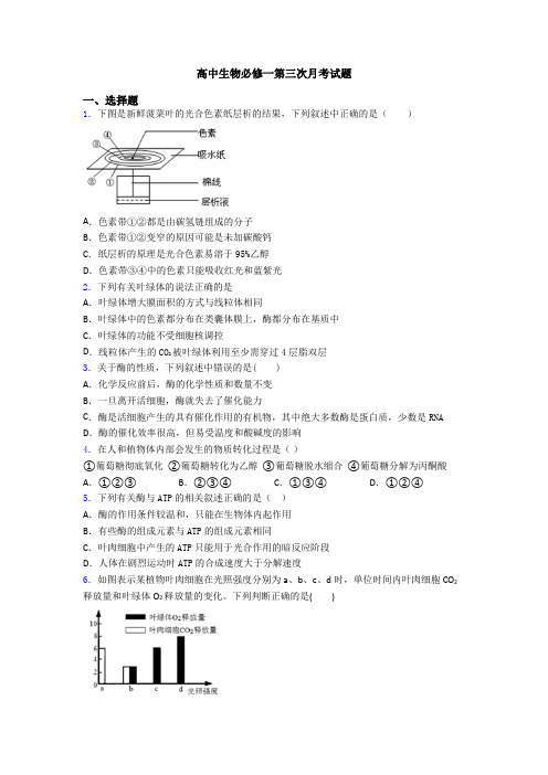 高中生物必修一第三次月考试题