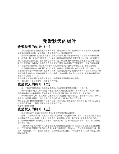 我爱秋天的树叶作文共九篇