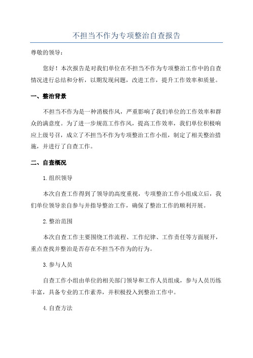 不担当不作为专项整治自查报告