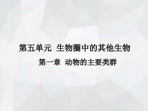 中考生物 第五单元 第一章 动物的主要类群复习课件(新版)新人教版