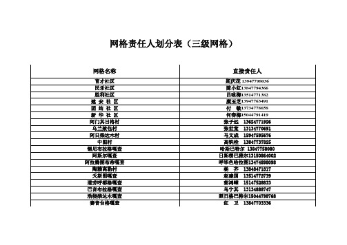 网格责任人划分表(三级网格)