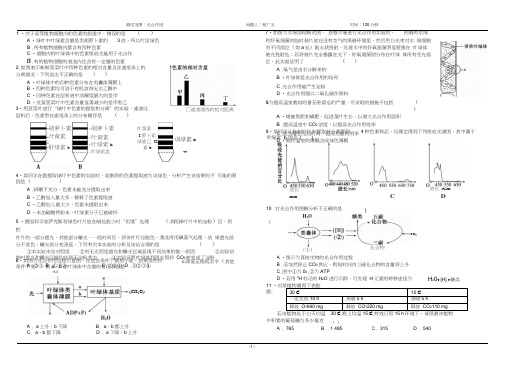 光合作用试题附答案