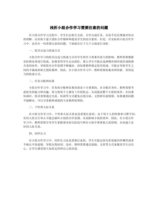 浅析小组合作学习需要注意的问题