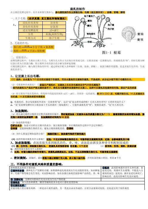 高中生物 选修一 腐乳的制作