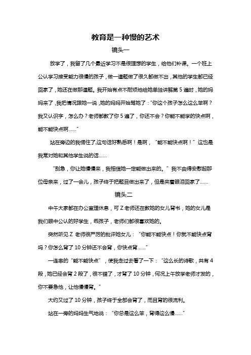 教育是一种慢的艺术