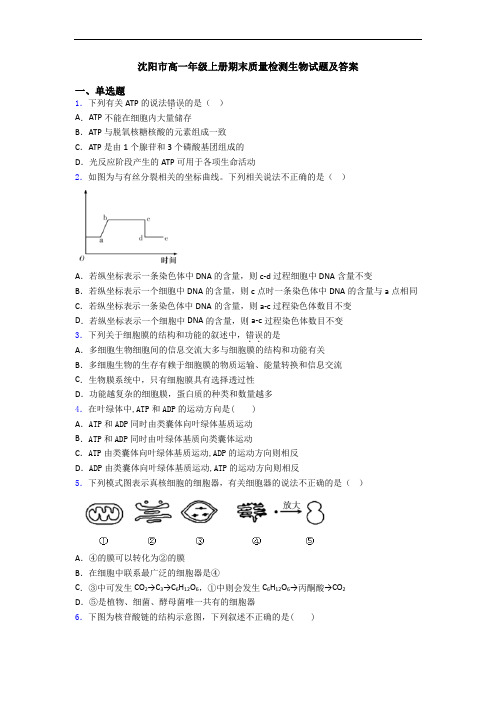 沈阳市高一年级上册期末质量检测生物试题及答案