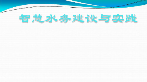 智慧水务建设与实践