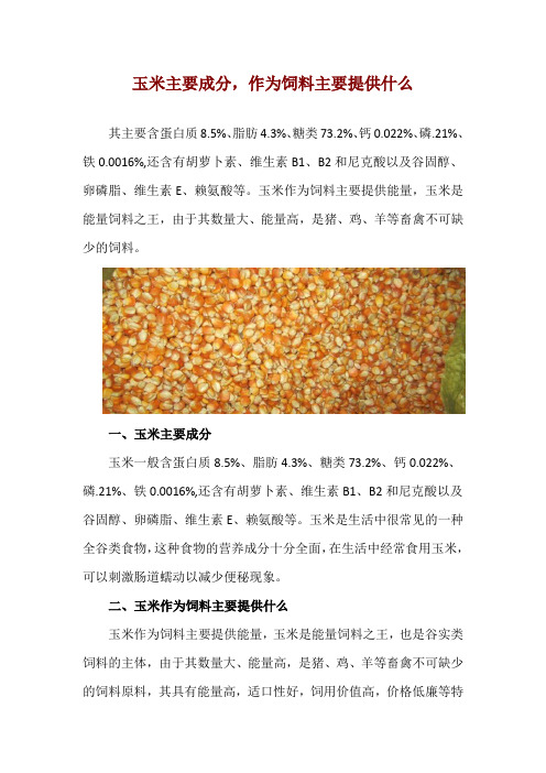 玉米主要成分,作为饲料主要提供什么