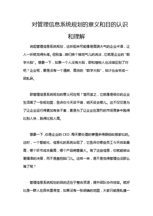 对管理信息系统规划的意义和目的认识和理解