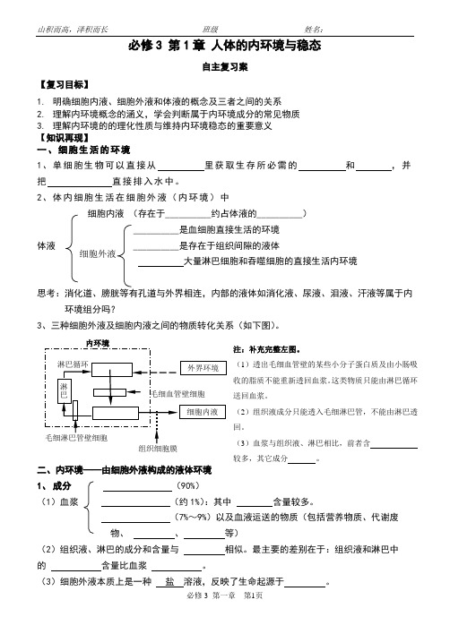 内环境与稳态一轮复习