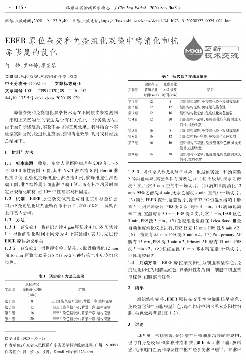 EBER原位杂交和免疫组化双染中酶消化和抗原修复的优化