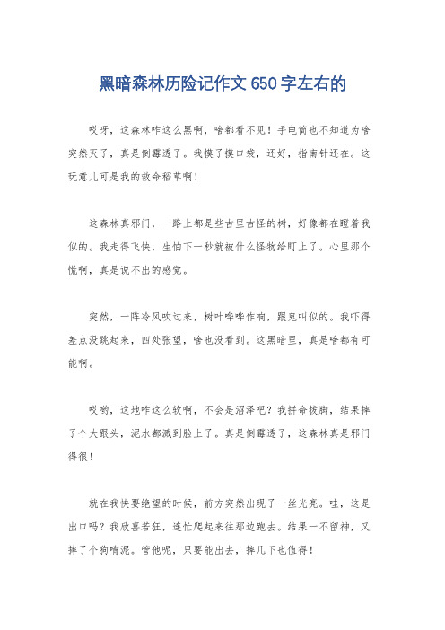 黑暗森林历险记作文650字左右的