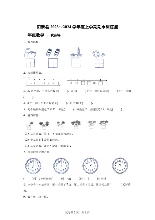 2023-2024学年湖北省黄石市阳新县人教版一年级上册期末考试数学试卷「含答案」