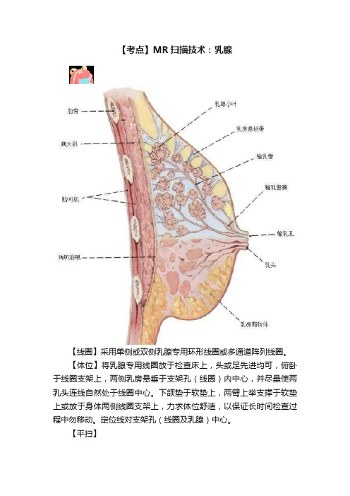 【考点】MR扫描技术：乳腺