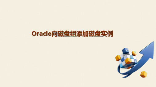 Oracle向磁盘组添加磁盘实例