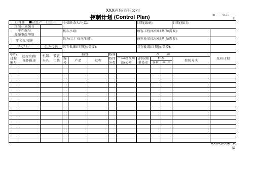 试生产控制计划