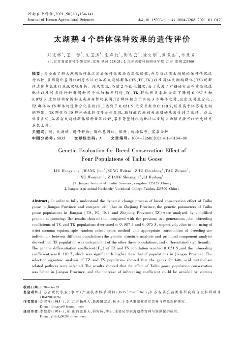 太湖鹅4个群体保种效果的遗传评价