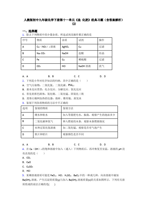 人教版初中九年级化学下册第十一单元《盐 化肥》经典习题(含答案解析)(2)