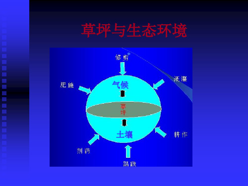 草坪与生态环境